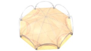 Арочные шатры